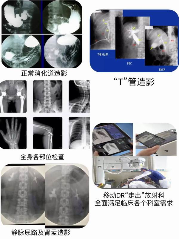 调整大小 微信图片_20230613110132.jpg